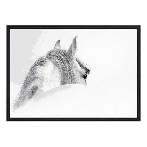 Постер в рамке Белая лошадь 1 21х30 см в Тогас