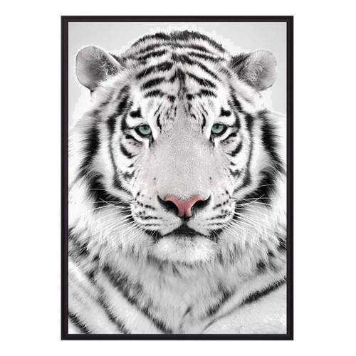 Постер в рамке Белый тигр 50х70 см в Тогас