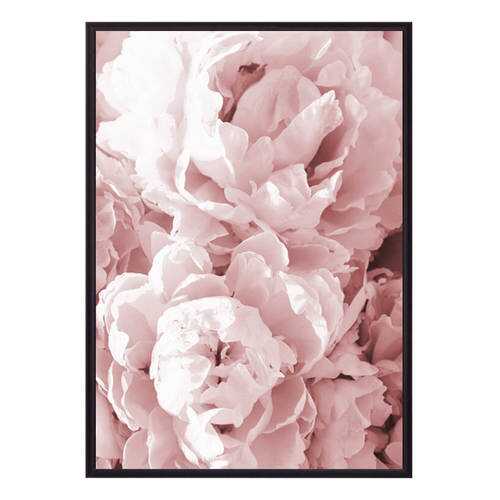 Постер в рамке Розовые пионы 40х60 см в Тогас