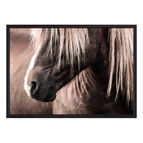 Постер в рамке Скандинавская лошадь 1 50х70 см в Тогас
