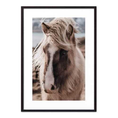Постер в рамке Скандинавская лошадь 2 40х60 см в Тогас