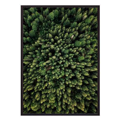 Постер в рамке Зеленый лес с высоты 40х60 см в Тогас