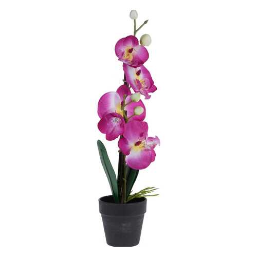 Орхидея в горшке Гарда Декор 15x15x38см в Тогас